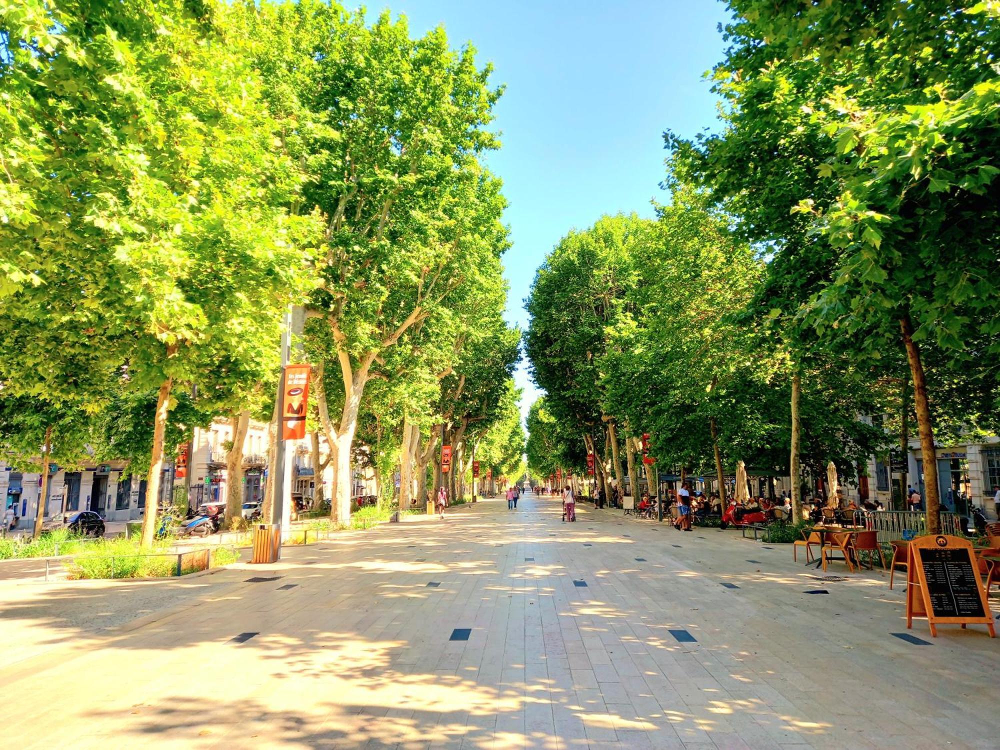 T2 Cathedrale & Torre Ventosa - Central - Clim - Wifi - Balcon - Free Parking Sur Demande Μπεζιέ Εξωτερικό φωτογραφία